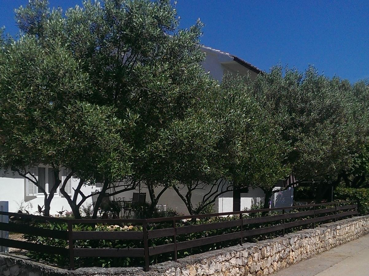 Nevena Apartments Kožino Εξωτερικό φωτογραφία